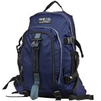 Рюкзак Polar П3955 Темно-синий