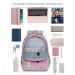 Рюкзак школьный Grizzly RG-260-8 Котята розовые