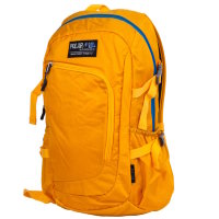 Рюкзак для подростка Polar П2171 Желтый