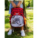 Рюкзак школьный SkyName R3-234 Милый котенок