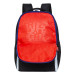 Рюкзак школьный Grizzly RB-251-6 Черный - синий