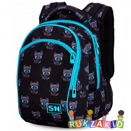 Рюкзак школьный для девочки SkyName 50-29