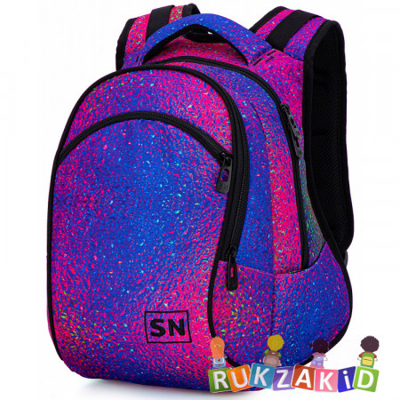 Рюкзак школьный для девочки SkyName 50-27