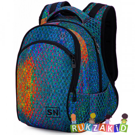 Рюкзак школьный для девочки SkyName 50-26