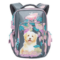 Рюкзак школьный Grizzly RG-760-1 Серый - розовый