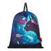 Рюкзак школьный с мешком для обуви Across ACR22-550-6 Черная кошка